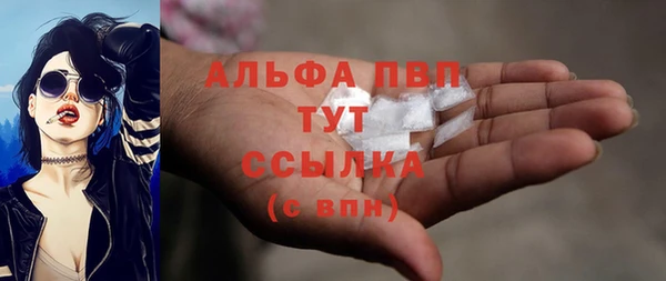 дживик Бородино