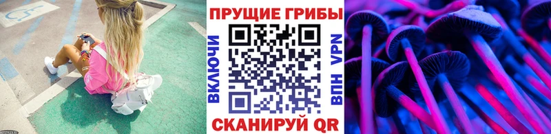 blacksprut tor Джанкой Галлюциногенные грибы прущие грибы наркошоп